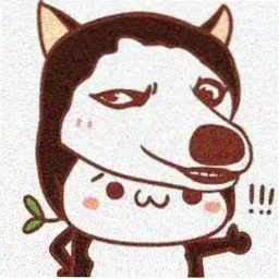 暗影骑士